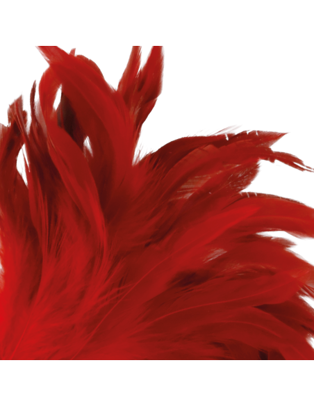 DARKNESS PLUMA ESTIMULADORA ROJO 24CM DARKNESS PLUMA ESTIMULADORA ROJO 24CM