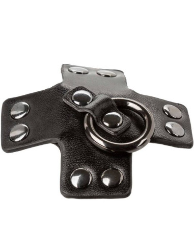 CALEXOTICS EUPHORIA PEZONERAS JUNTA TORICA NEGRO