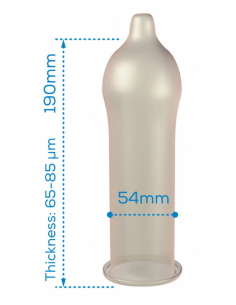 PASANTE CONDOM GAMA REGULAR 12 UNIDADES 2