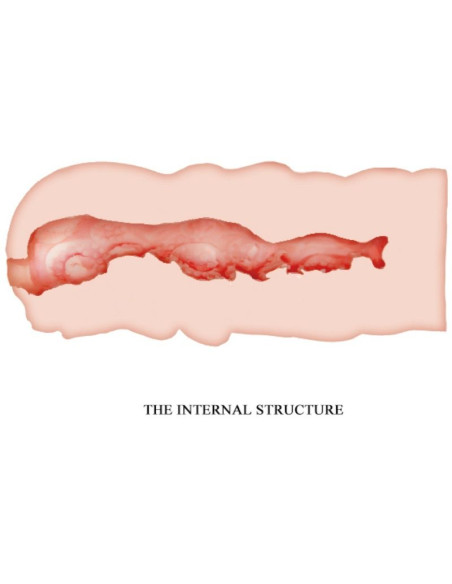 CRAZY BULL ISABEL MASTURBADOR VAGINA 135 CM CRAZY BULL ISABEL MASTURBADOR VAGINA 135 CM
