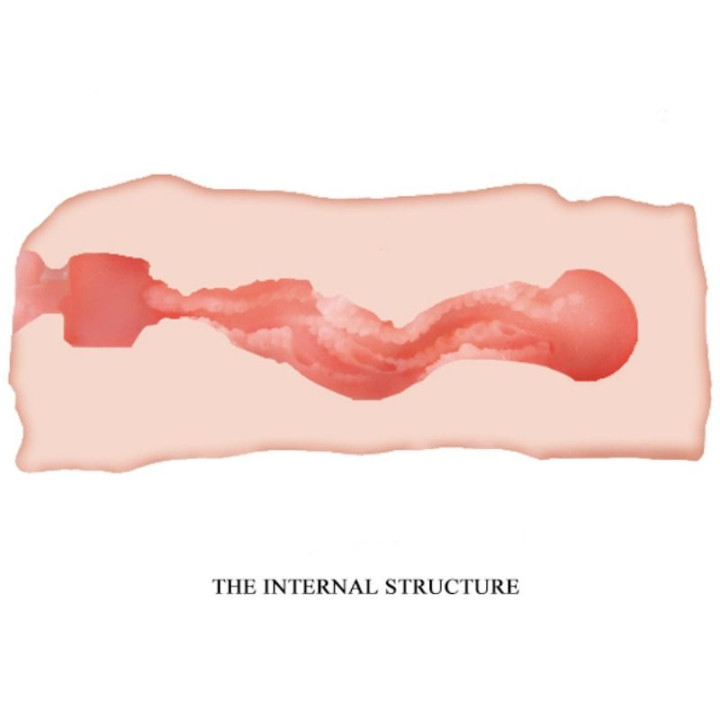 CRAZY BULL JANE MASTURBADOR VAGINA 135 CM