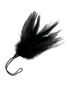 Boas and Feathers