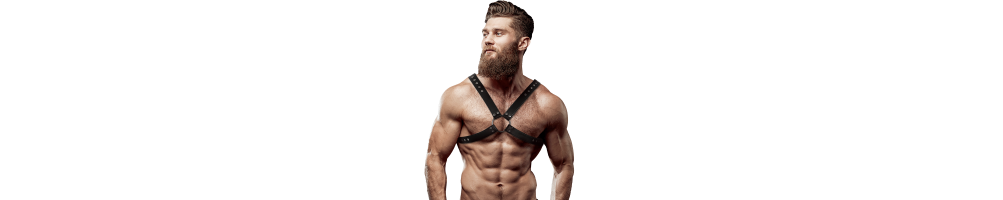 Herren-Harness