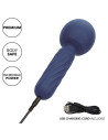 WAND vibrator