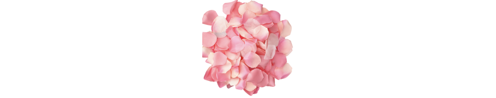 Petalos de Rosas