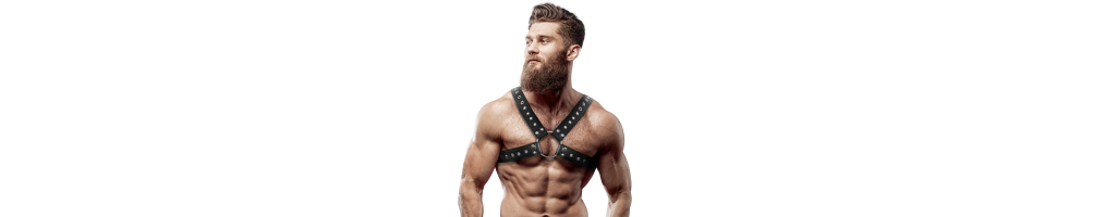 Harnais pour hommes