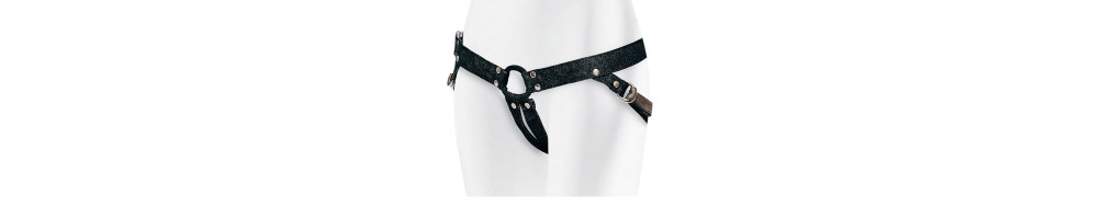 Harnais de fixation