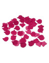 Pétales de roses