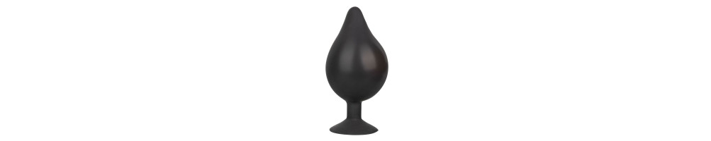 Inflatable Anal