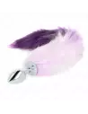 Plug Anal BDSM